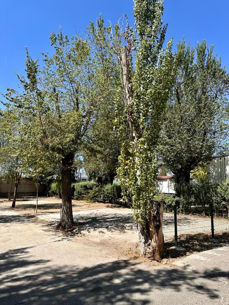 Bungalows Alpha Getafe Exterior photo