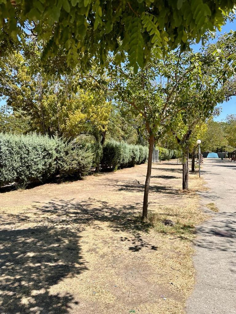 Bungalows Alpha Getafe Exterior photo